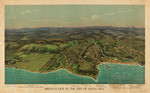 Bird's-eye-view of the city of Santa Cruz