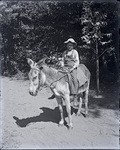 [Boy on donkey]