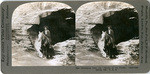 Emerging from the "Father of the Forest," Calaveras Grove, Cal., U. S. A., 9484