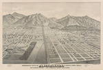 Birdseye view of Arcadia and Santa Anita Tract, San Gabriel Valley, Los Angeles County California