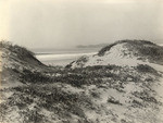 [Beach sand dunes] (2 views)