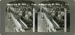 Peaches 4. - Pitting and cutting peaches for canning. Tulare County, California, 20