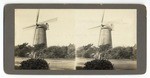 [Dutch windmill, Golden Gate Park]