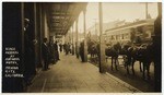 Stage arrival at National Hotel, Nevada City, California