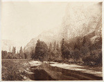 [Valley of the Yosemite. From Sandy Flat], No. 17