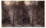 [Wooded view in Eaton Canyon]