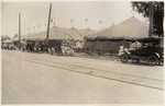 Circus Day at 31st & M street