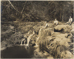 The Waddell Creek at Woodwardia Falls