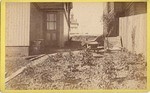 [View of vegetable garden]