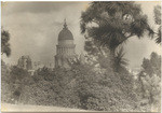 City Hall from Ellis St.