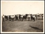 [Getting horses ready for the 1917 Orland County Fair] (2 views)