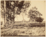 Nadeau town site from hotel-Los Angeles Co., Cal.