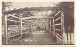 The Grape Arbor at Ramona's Home. (Camulos.) # 1077