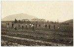 Plant propagation, field work, Cal. Polytechnic School, San Luis Obispo, Cal.