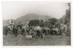 [Hollister Ranch activities in Santa Barbara County, ca. 1875] (2 views)