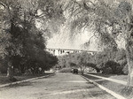 Arroyo Drive