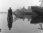 [Ships in San Pedro Harbor]