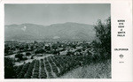 Birds eye view of Santa Paula, California, F4754