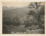 Rattlesnake Canyon looking towards LaCumbre