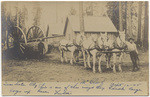 [Horse team pulling large log in McCloud, Siskiyou Co.]