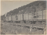 [Northern California Lumber Company train]