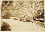 Sunlet garden, Hollywood California