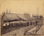 [Sierra Lumber Co. sawmill, Lyonsville]