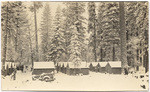 [Camp Pickering, Standard Lumber Co., Tuolumne Co.]