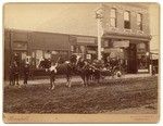 [Decorated horse and carriage]