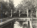 [Robinson residence lily pond]