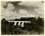 [Cabrillo Bridge, 135' high]