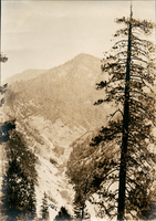 Grizzly Peak, North Fork, 1282