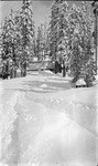 [Base camp for dam construction workers, Big Creek?]