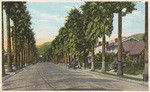 Residence street scene, Hollywood, California, 33