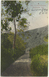 In Laurel Canyon, Hollywood, Cal., 1752