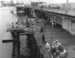 [Santa Monica Pier, views 1 and 2]