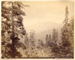 San Diego Bay and City from Coronado, Cal. # 4165 (front); Distant View of Mariposa Big Tree Grove and Mariposa Point from Point Miller, Mariposa Road, Cal. # 3097 (verso).