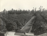 [E.M. Taylor residence, Altadena] (3 views)