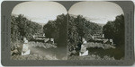 Oranges 7. - Getting ready for harvesting citrus fruit, Lindsay, Tulare County, California, 41