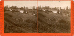 Vineyard and residence of Mr. Mel, Vine Hill, Santa Cruz Co., Cal., 5016