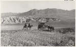 [Stagecoach from Furnace Creek Inn, Death Valley, Calif.]