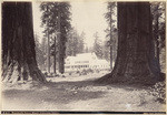 Mammoth Grove Hotel, Calaveras Grove