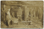 Breast Kennedy Mine