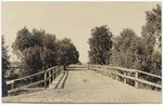 Bridge scene at Davis, Cal.