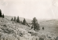 [Feather River Canyon] (2 views)