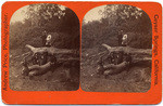 [View of group standing on trunk of fallen tree]