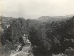 Arroyo Seco from Jevne garden (2 views)