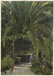 A resting place under a date palm, in Paul de Longpre's garden, Hollywood, Cal.