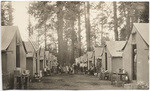 [Standard Lumber Company lumber camp, Tuolumne Co.]