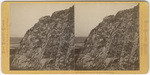 South Farallon Island, Tower Head, # 1015